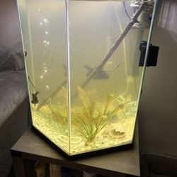 20 Gallon Fish Tank 
