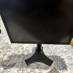 NEC MultiSync Professional Monitor