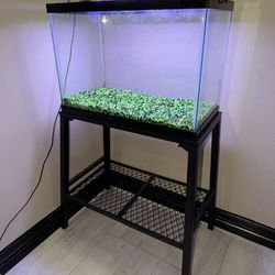 Fish Aquarium 20 Gallon 