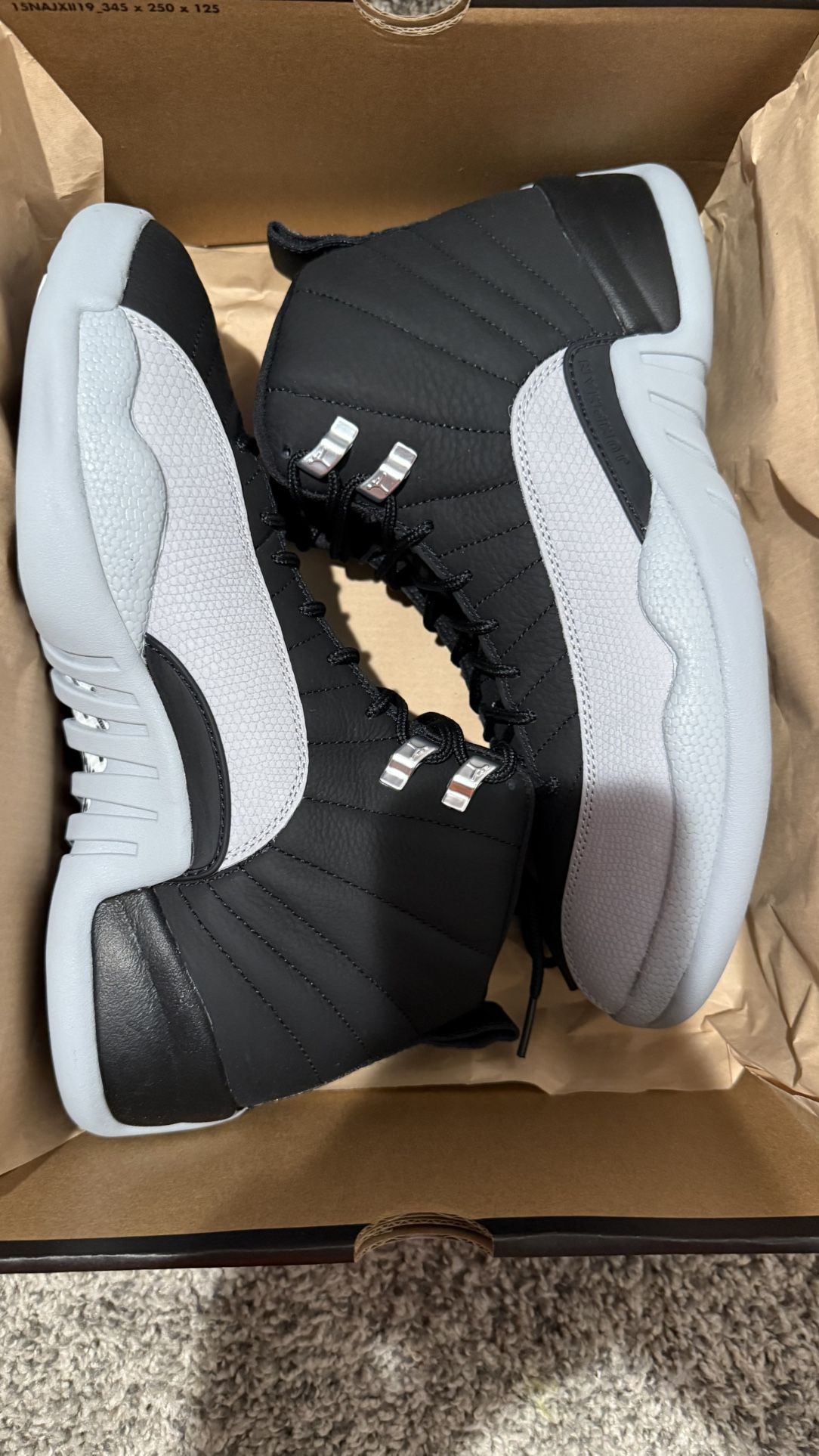jordan 12