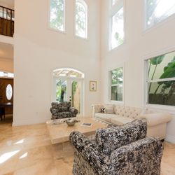 Plush Accent Armchairs 