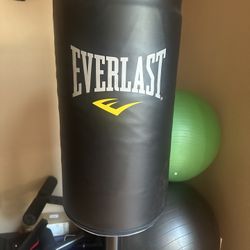 Everlast Free Standing Punching Bag - Indoor Rounded Heavy Duty Fitness Training Heavy Bag.  