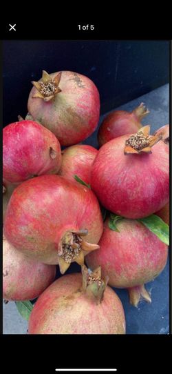 Pomgranate, Granadas $1