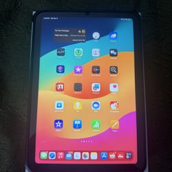 iPad Mini 256GB Cellular Excellent Condition 