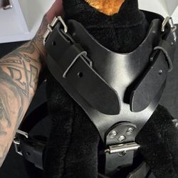 Dog Harness