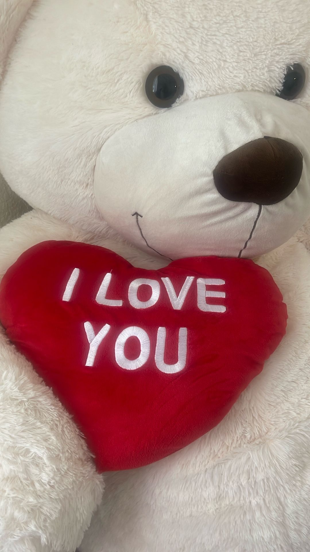 Oso De Peluche Nuevo De 6 Ft