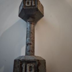 10 Lb Dumbbell