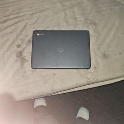 Dell Chromebook 11 3100 11.6