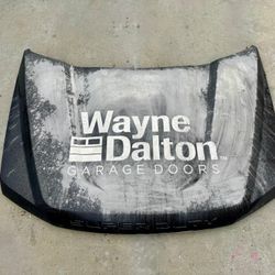 2015 - 2020 FORD F-150 HOOD  OEM