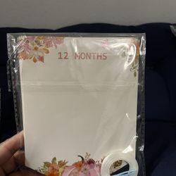 baby girl 12 months milestone banner picture