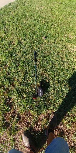 Musty Putter