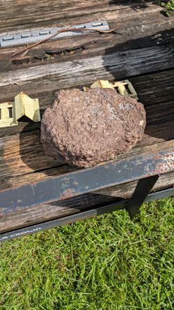 Coral Rock