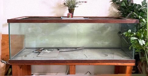 Extra Large Reptile (Former Fish) Glass Tank with Stand $150 OBO