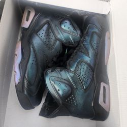 Jordan Chameleon 