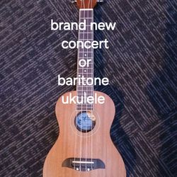 Brand New Oscar Schmidt Ukulele, Setup As Concert Or Baritone 