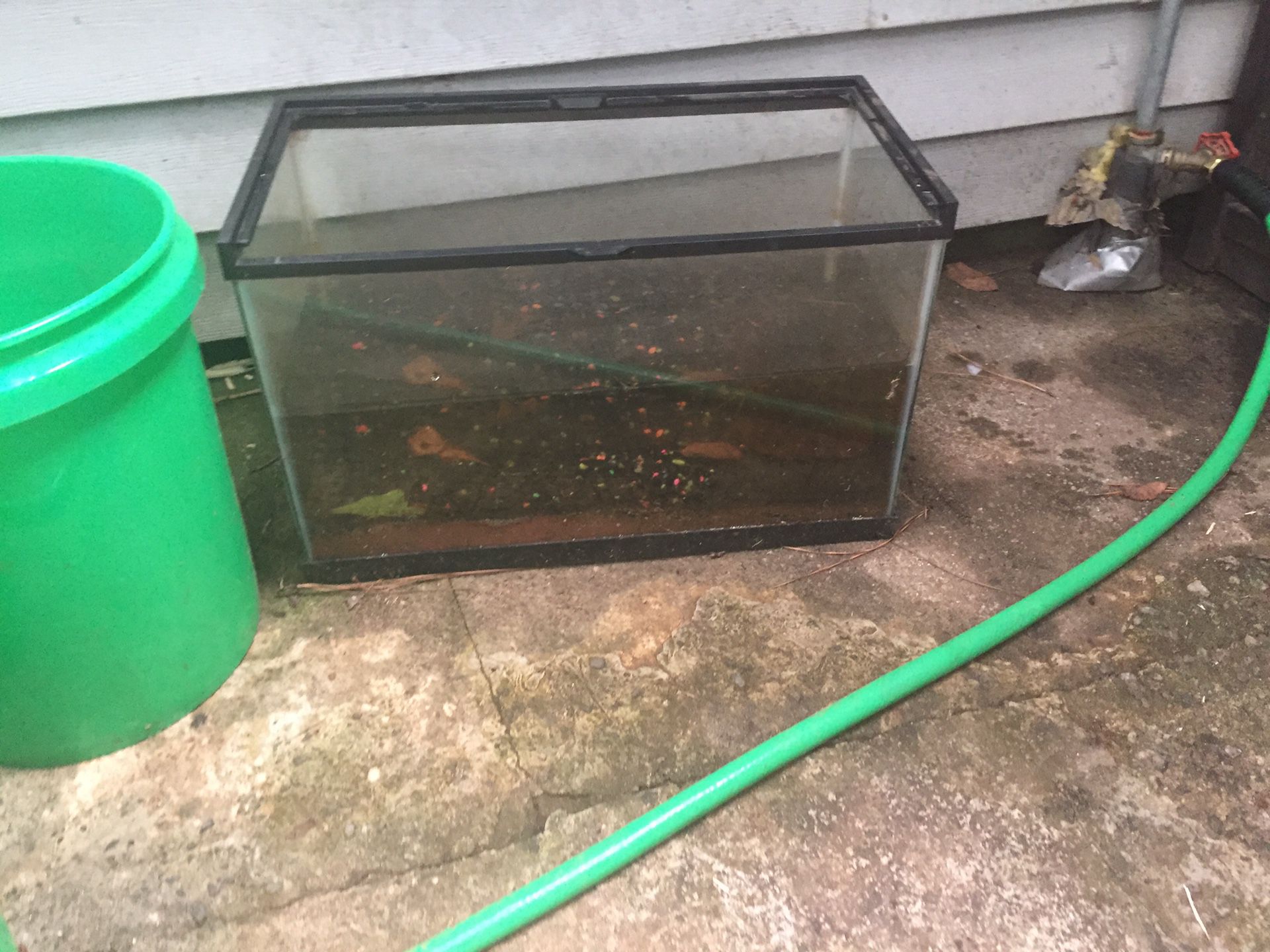 10 gallon tank with lid