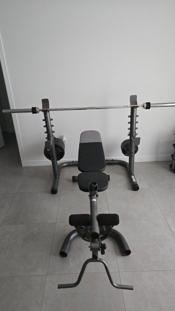 Gold's Gym Adjustable Workout Beanch With Squat Rack, Leg Extension, Preacher Curl and Weight Storage