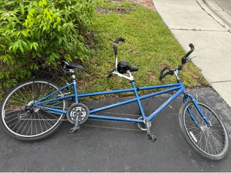 Raleigh Companion Bike