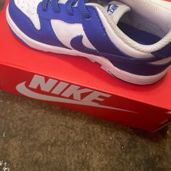 Nike Dunks Size 9c