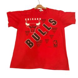 Vtg Chicago Bulls Hanes T Shirt NBA  Tee 90s USA Single Stitch Team Hanes LARGE