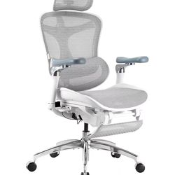 New assembled Pro Ergonomic Office Chair with Footrest, Ultra-Soft 6D Armrests, Dynamic Lumbar Support, and Seat Depth Adjustment for Office (Grey)