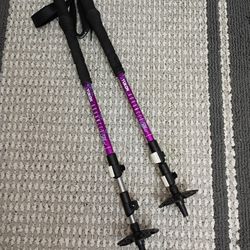 Yukon Advanced Hiking Trekking Snowshoe Poles