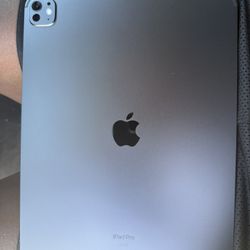 iPad Pro 13” (M4) – 512GB – Wi-Fi + Cellular – Excellent 