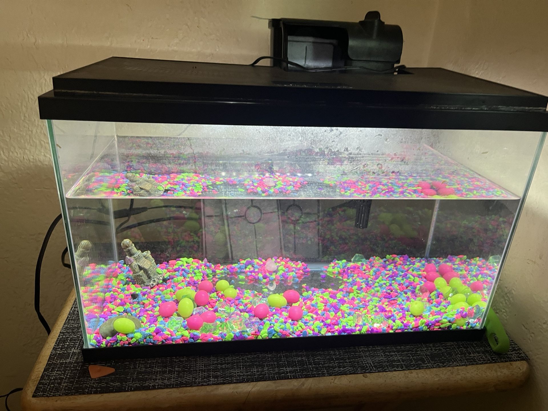 5 Gallon Fish Tank