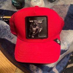 The farm hat raging Bull