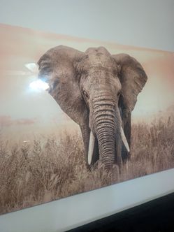 Vinyl Canvas Elephant painting