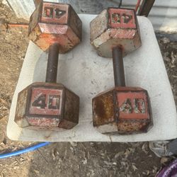 40 Pound Dumbbells 