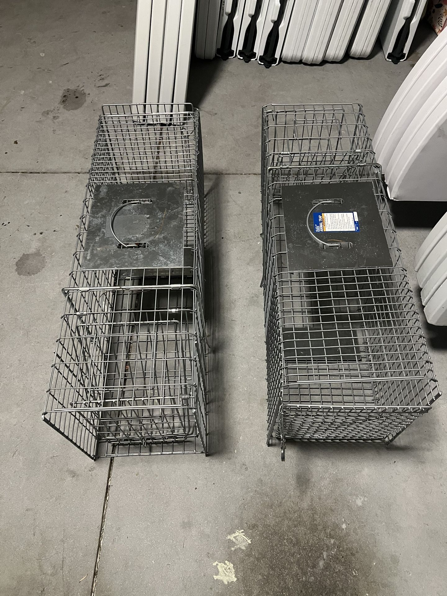 Animal Traps