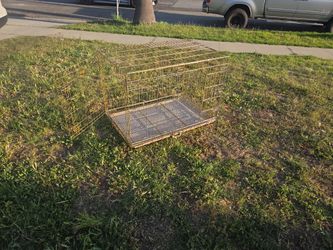 $40 /42 Inch Gold Dog Crate Double Doors