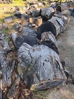 FREE OAK WOOD