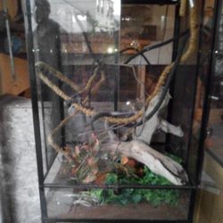 Stand Up Glass Cage For Lizards,Snakes,Birds
