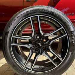 Para Mustang 