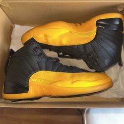 Jordan 12 Size 10.5