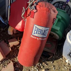 Punching Bag 