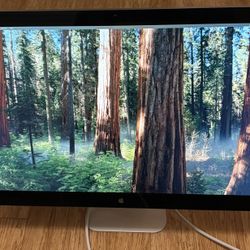Mac 27” Thunderbolt monitor