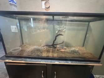 55 gallon long tank