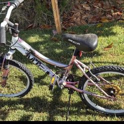 16 Inches Girls Bike 