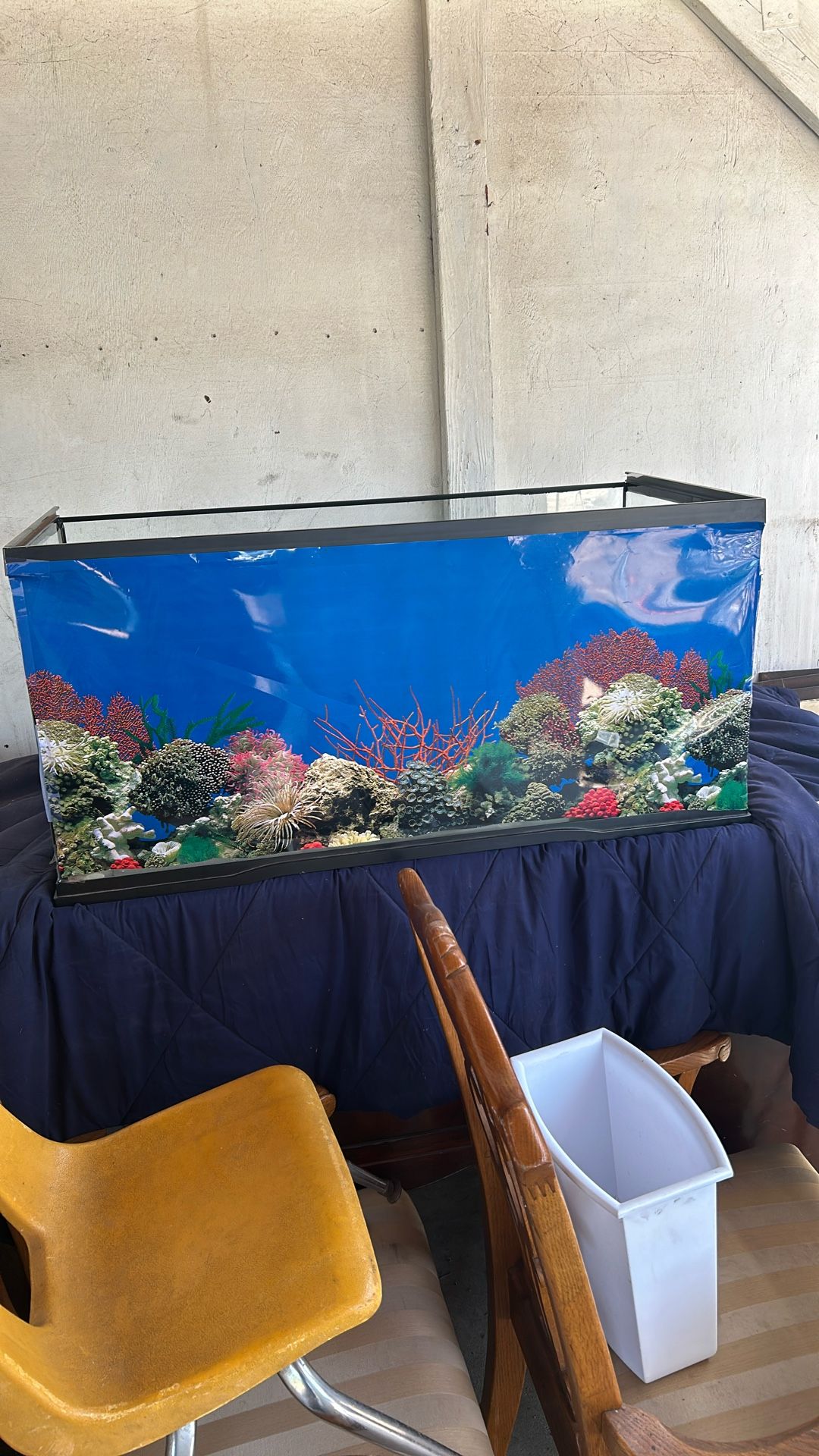 Fish Tank