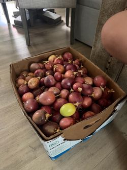 Passion fruit