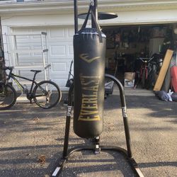 Punching Bag 