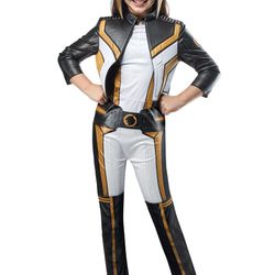 Hawk girl Halloween Constume 