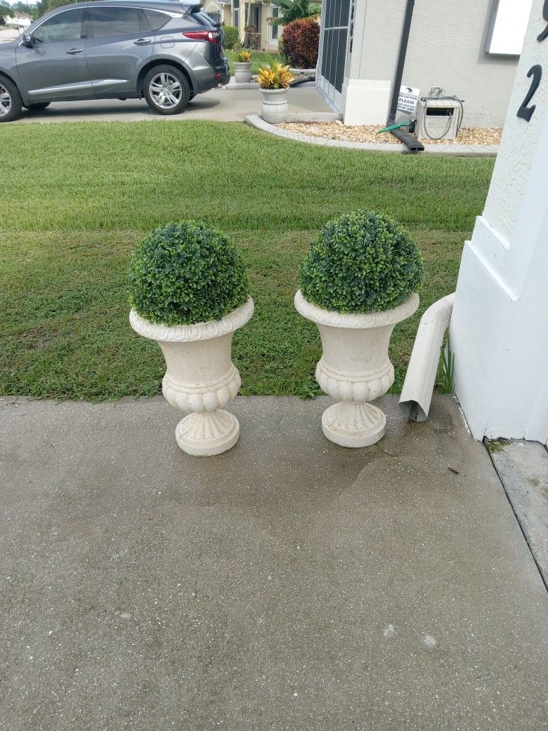 2 Shrub With Pot