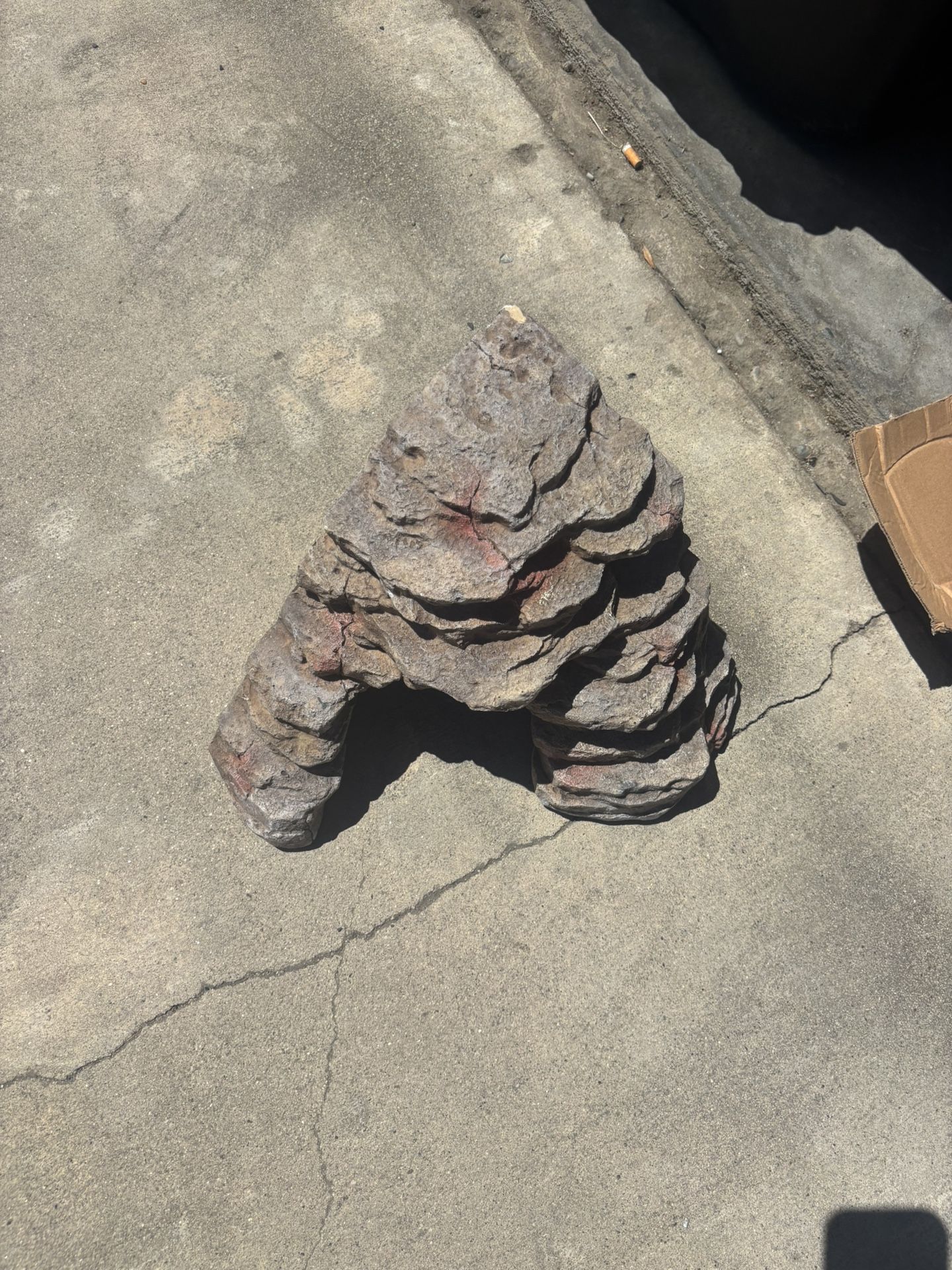 Reptile Rock