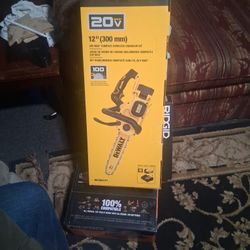 Brand New Dewalt 12in Chainsaw. 20 V