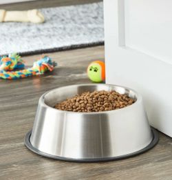 Large dog bowl
