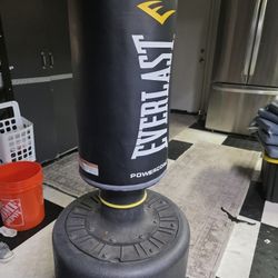 Everlast Punching Bag